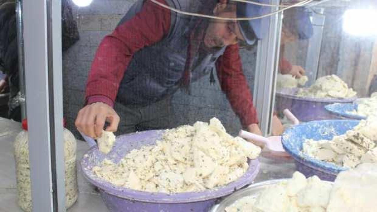 Siirt'te kışlık peynir satışa çıktı!