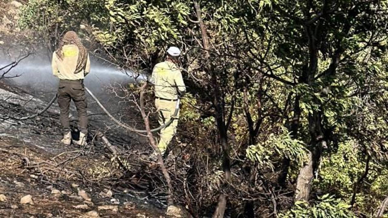 Siirt'te orman yangını, 17 saatte kontrol altına alındı