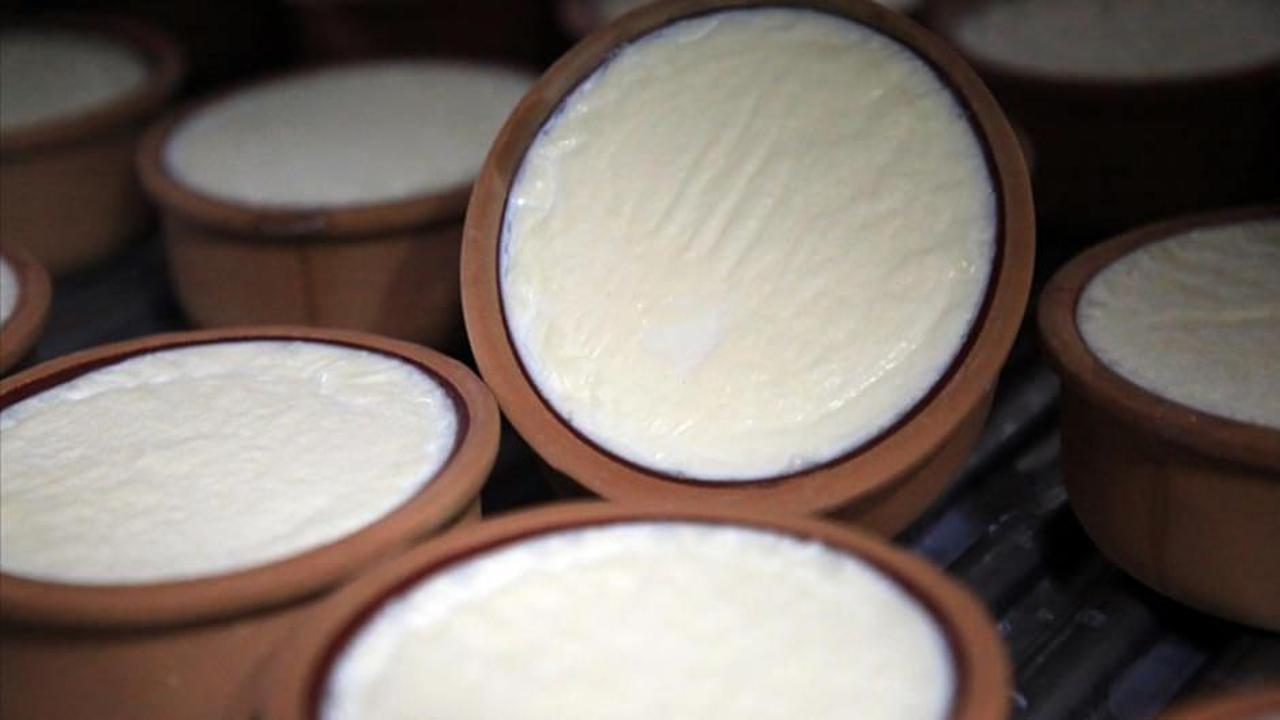 Silifke yoğurdu AB'den coğrafi işaret tescili aldı
