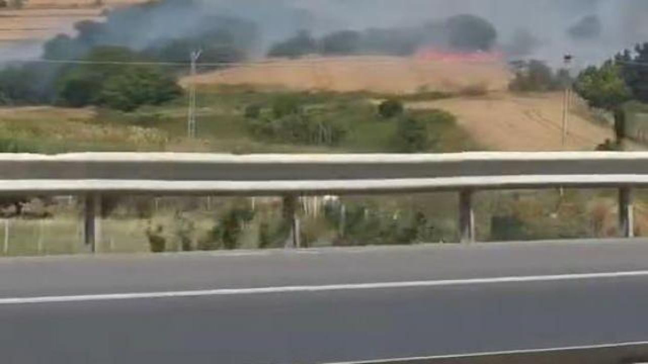 Silivri'de anız yangını! Evlere doğru ilerliyor