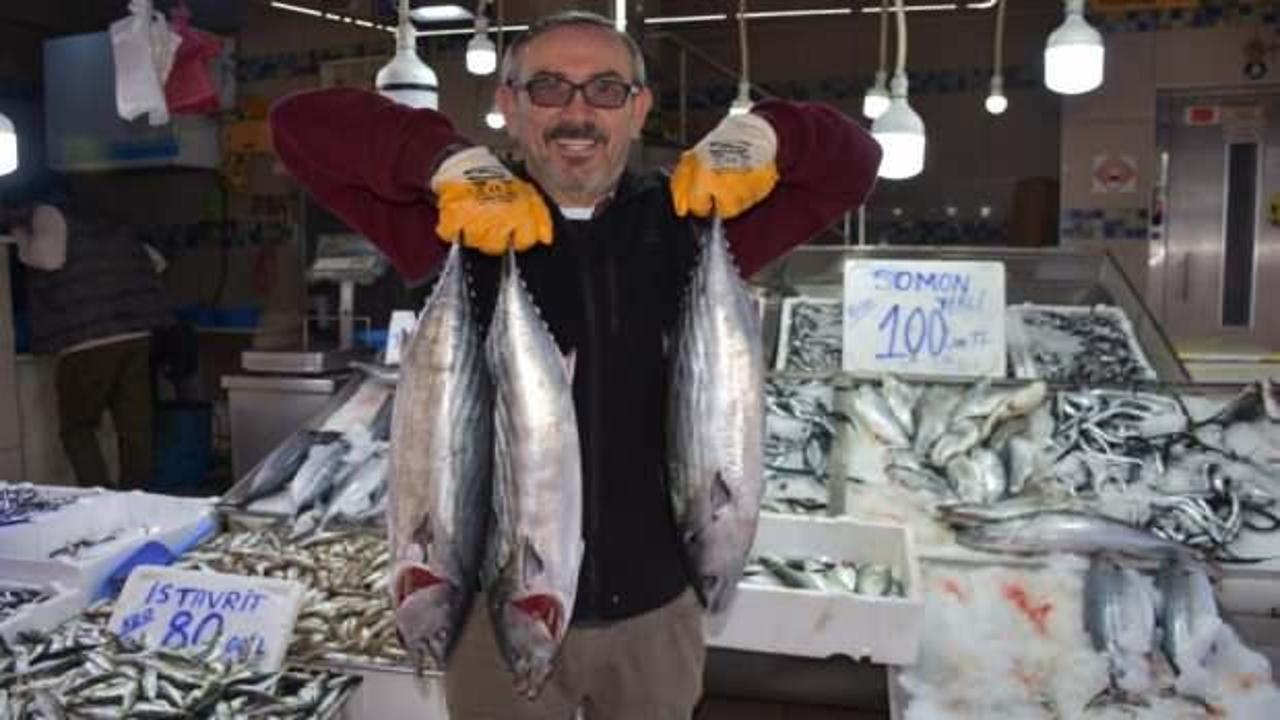Sinop'ta 3 ve 5 kilogram arası torikler 500 TL
