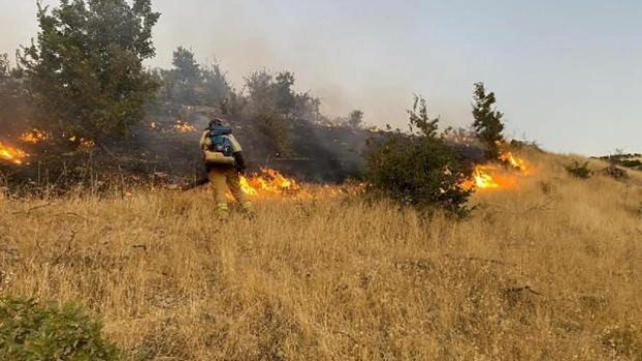 Şırnak'ta çıkan örtü yangını kontrol altına alındı