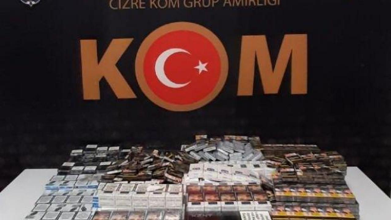 Şırnak'taki asayiş ve kaçakçılık operasyonlarında 50 gözaltı