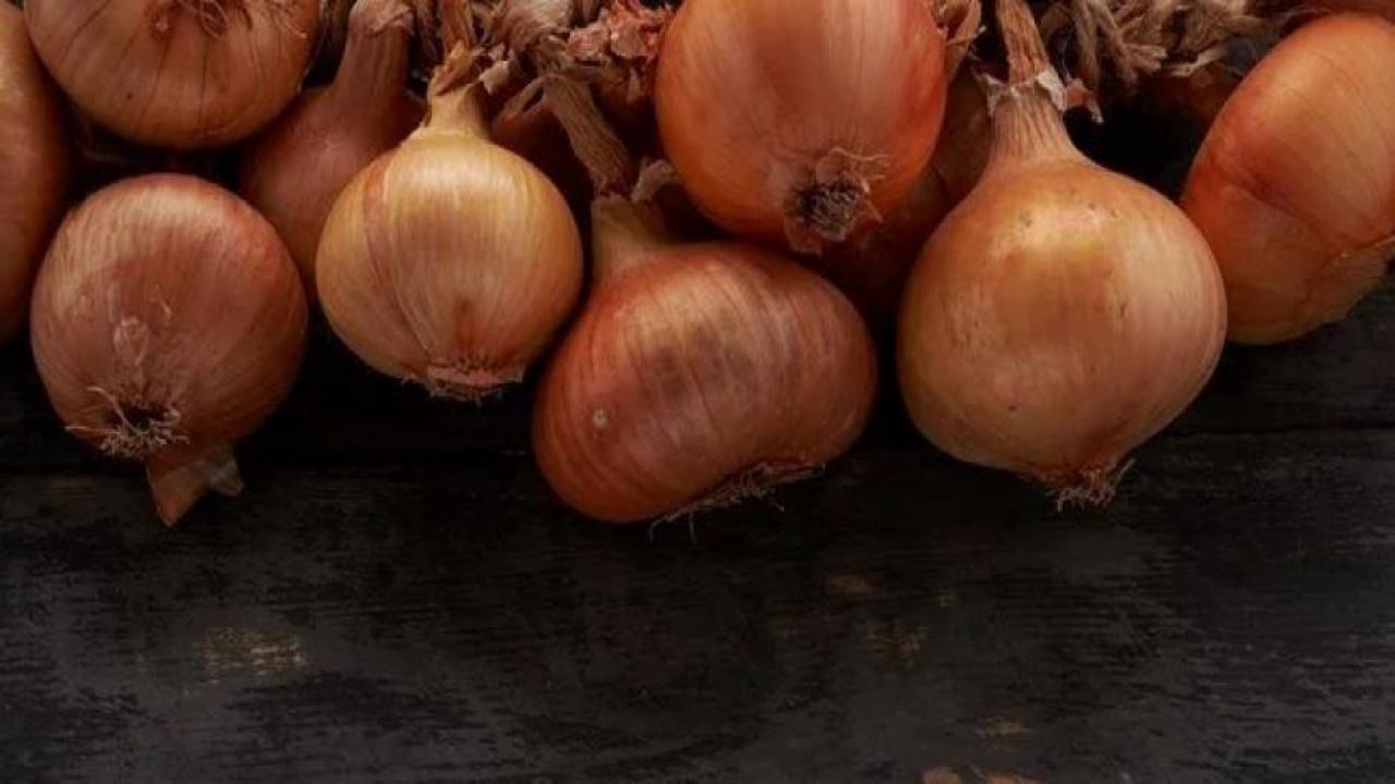 Soğanda erken hasat umudu: Fiyatlar düşecek mi?