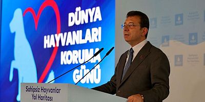 'SOKAK HAYVANLARININ UYUTULMASINA İZİN VERMEYECEĞİZ'