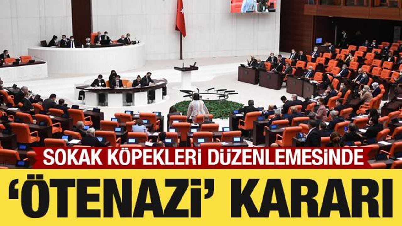 Sokak köpekleri düzenlemesinde 'ötenazi' kararı