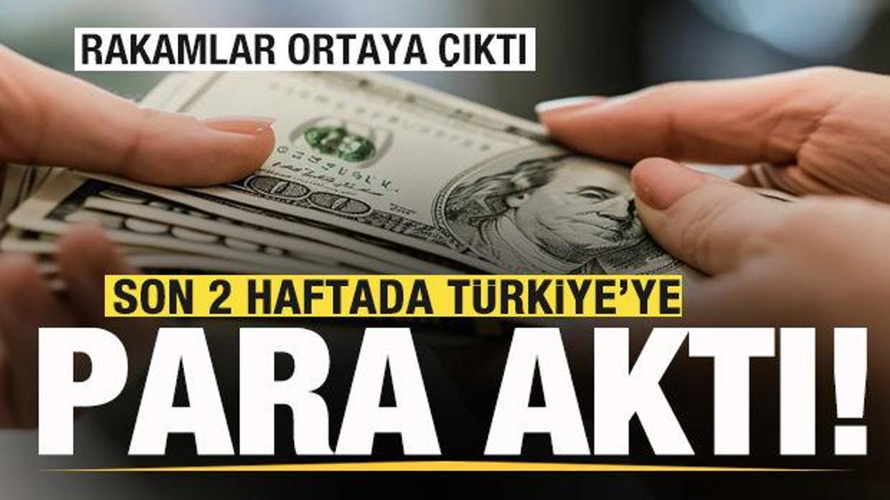 Son 2 haftada Türkiye'ye para aktı! Rakamlar ortaya çıktı