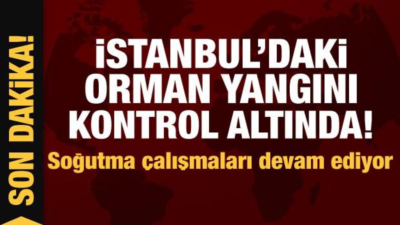 Son Dakika: Beykoz'daki orman yangını kontrol altında!