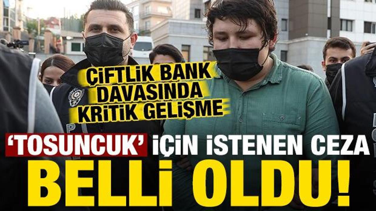 Son dakika: Çiftlik Bank davasında 'Tosuncuk' Mehmet Aydın için istenen ceza belli oldu!