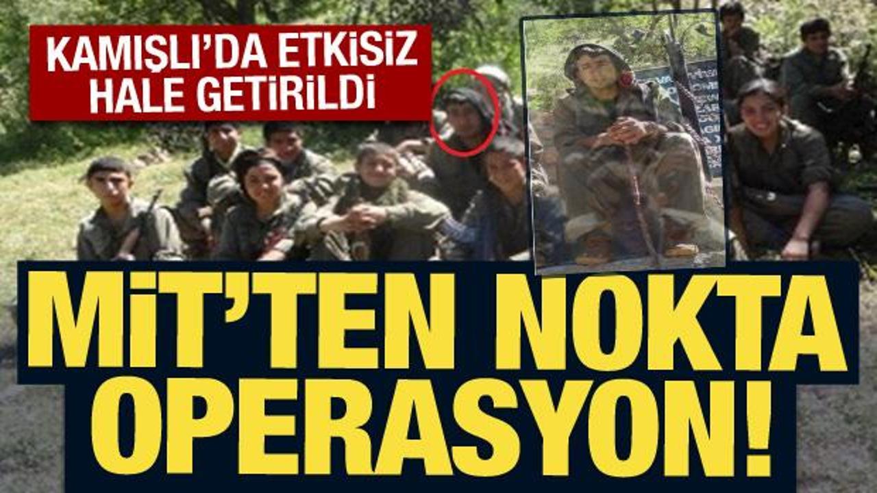Son Dakika: MİT'ten nokta operasyon! Kamışlı'da etkisiz hale getirildi