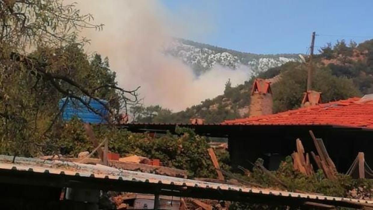 Son dakika: Muğla, Antalya ve İzmir'de orman yangını!