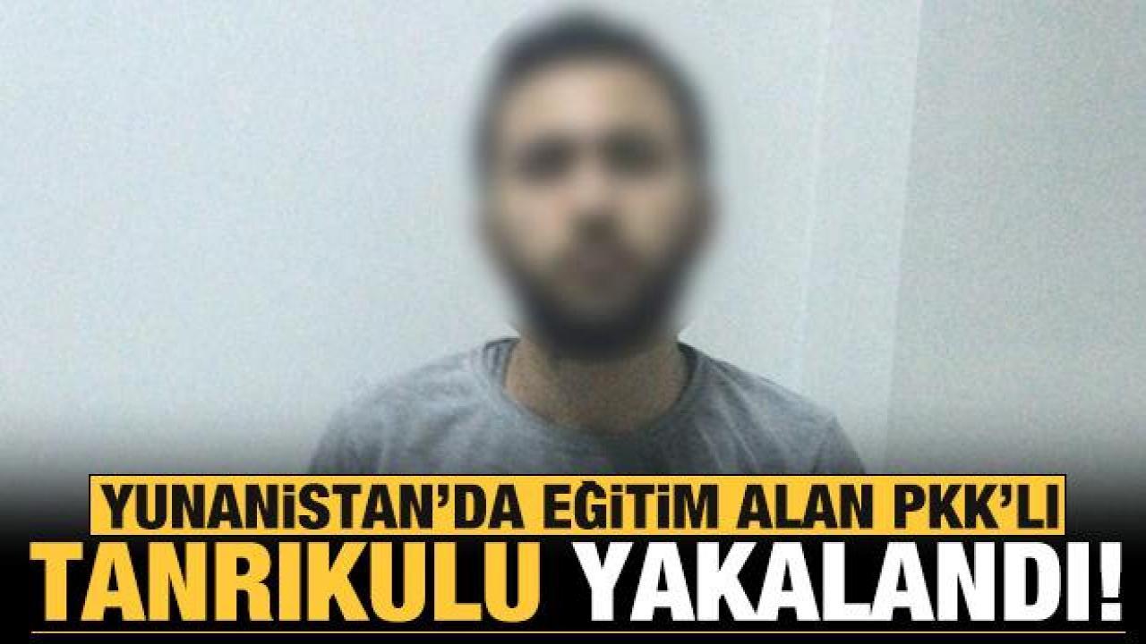 Son dakika: Yunanistan'da eğitim alan PKK'lı Tanrıkulu yakalandı!