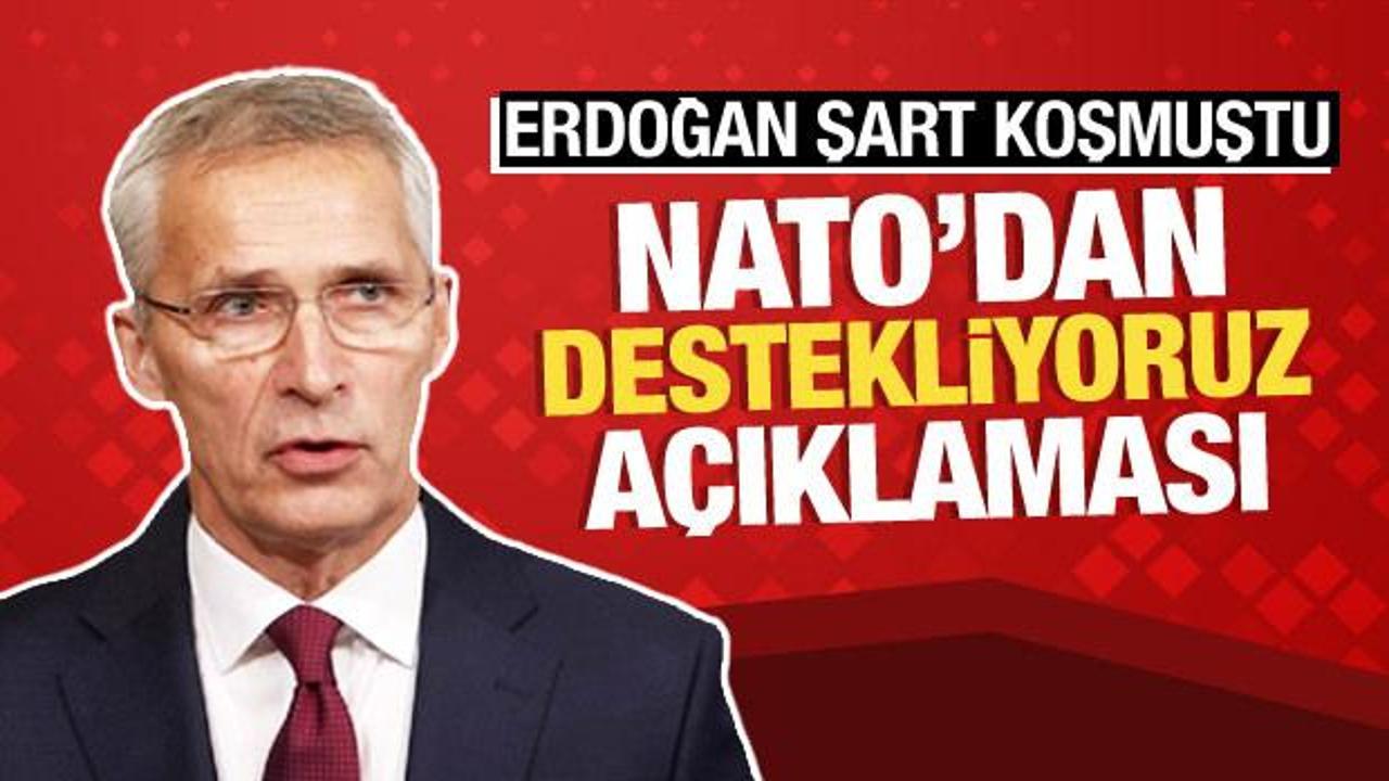 Stoltenberg'ten Türkiye'nin AB üyeliği isteğine destek
