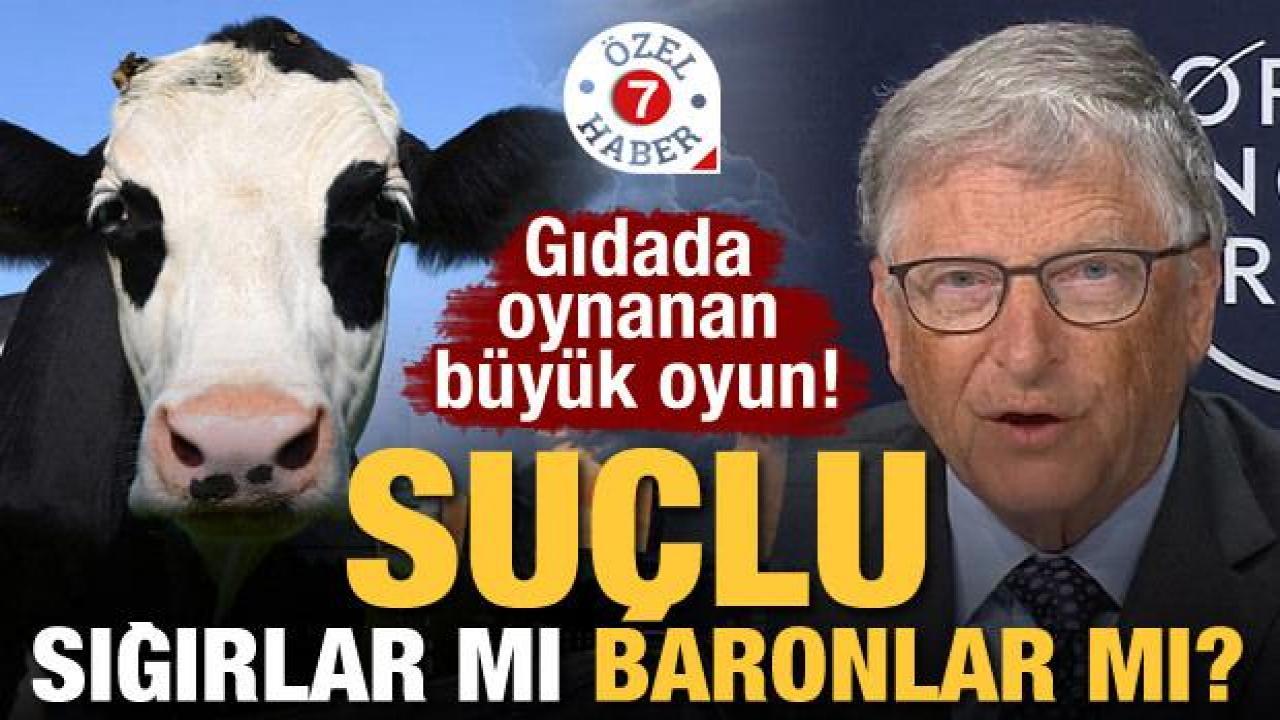 Suçlu sığırlar mı, 'böcek ye' diyen baronlar mı? Gıda güvenliği tehlikede