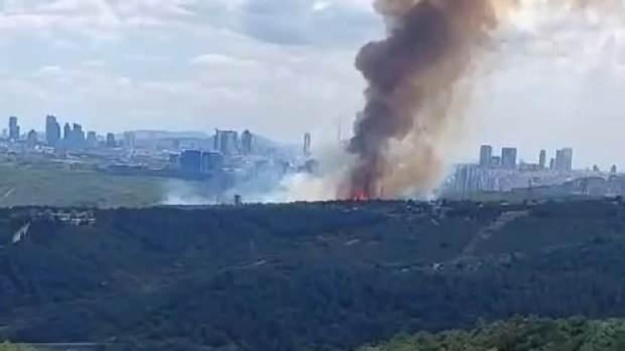 Sultangazi'de orman yangını