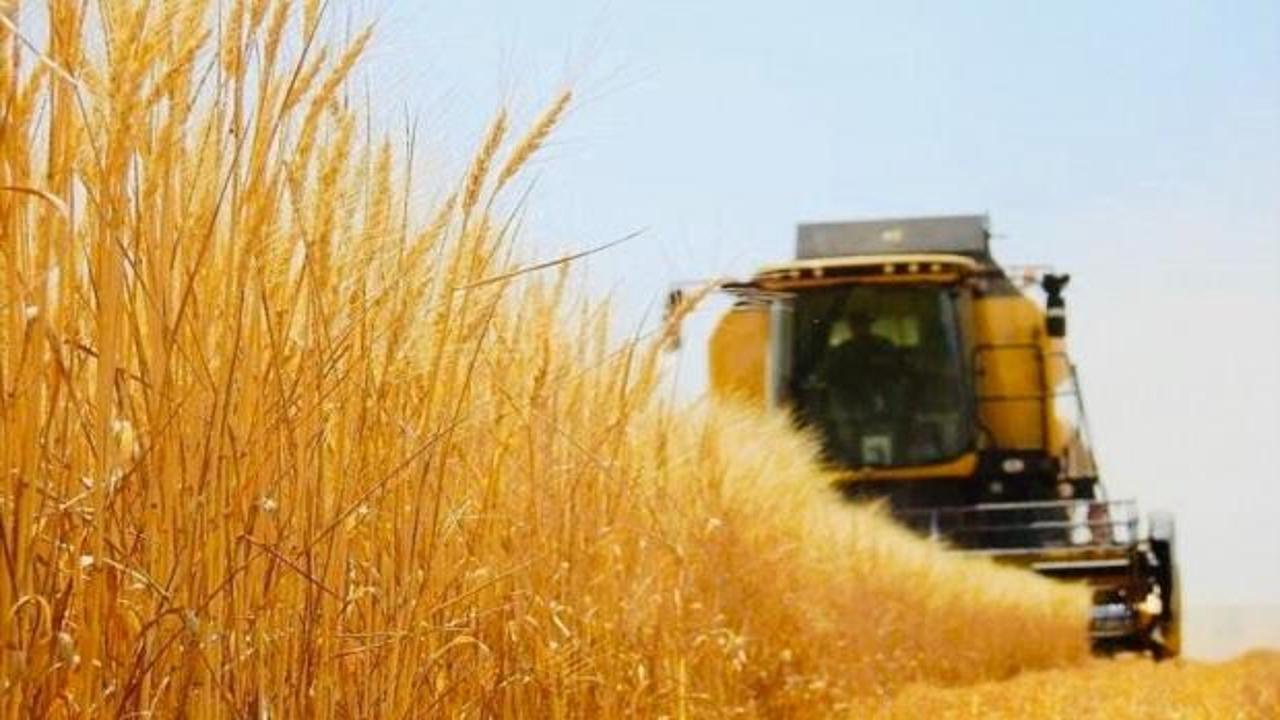 Sungurlu Ticaret Borsası'na yılın ilk ürünü satıldı