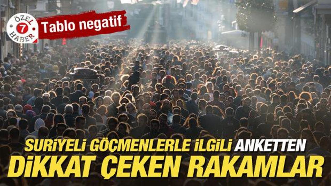 Suriyeli göçmenlerle ilgili anketten dikkat çeken rakamlar... Tablo negatif