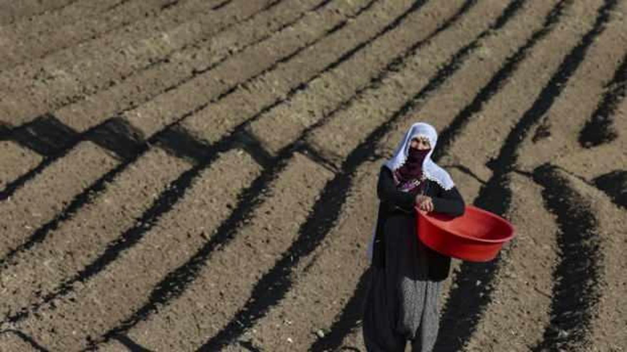 Tahıl anlaşmasının bitmesine yakın tarım emtiaları yükseliyor