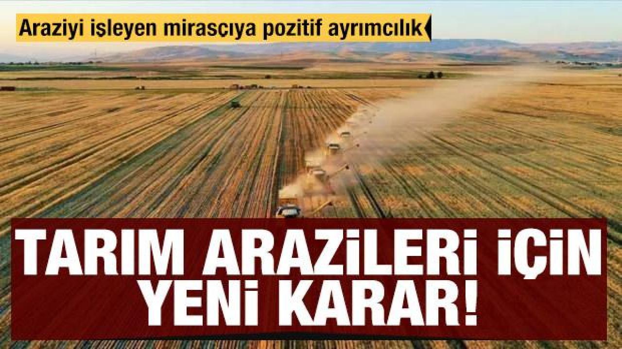 Tarım arazileri için yeni karar: Araziyi işleyen kişiye pozitif ayrımcılık
