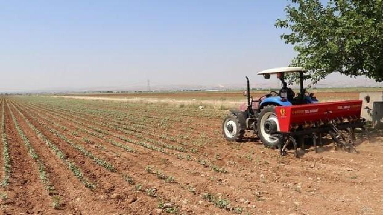 Tarım gıda ve içecek sektöründen 22,9 milyar dolarlık ihracat