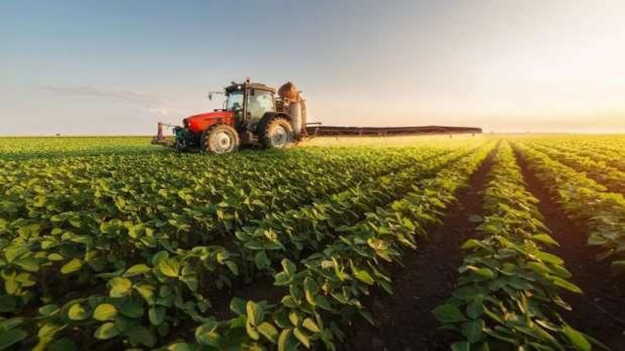 Tarım Kredi, kredi sisteminde değişikliğe gidiyor