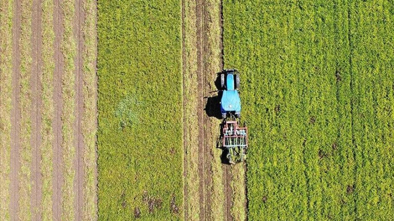 Tarım sezonundaki yağışlar geçen döneme göre yüzde 11 arttı