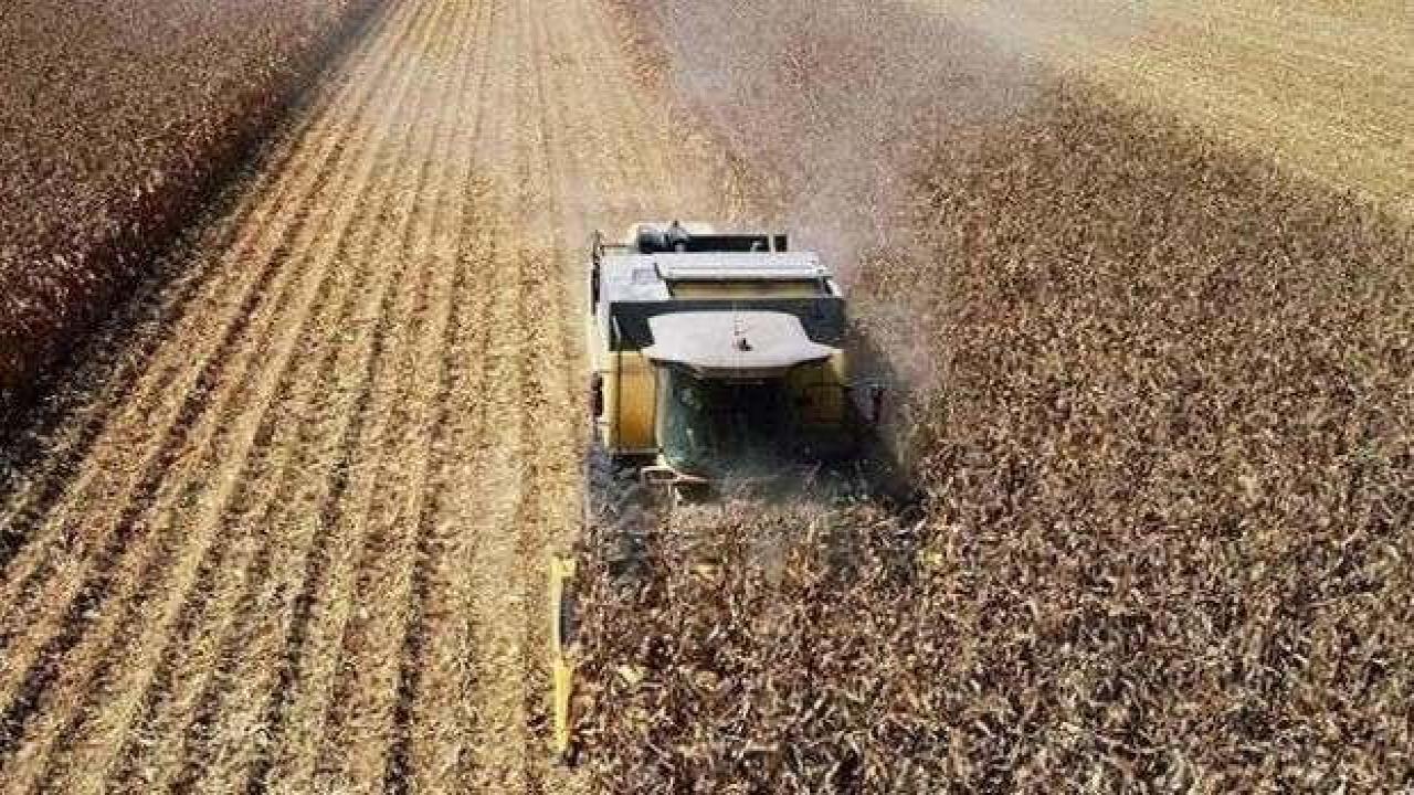 Tarım ÜFE ekimde yüzde 4,59 arttı