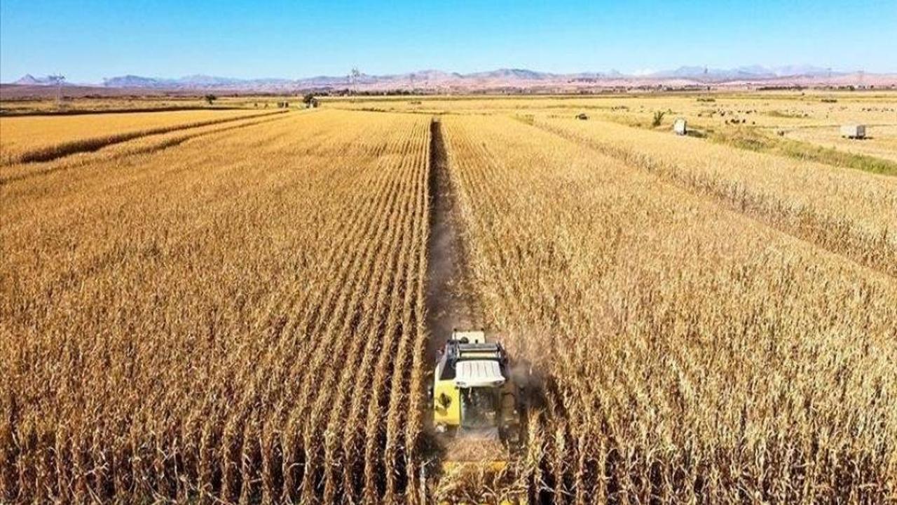 Tarım ÜFE haziranda aylık bazda yüzde 1,95 arttı