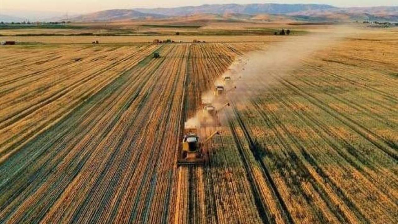 Tarım ÜFE şubatta yıllık yüzde 127,56 arttı