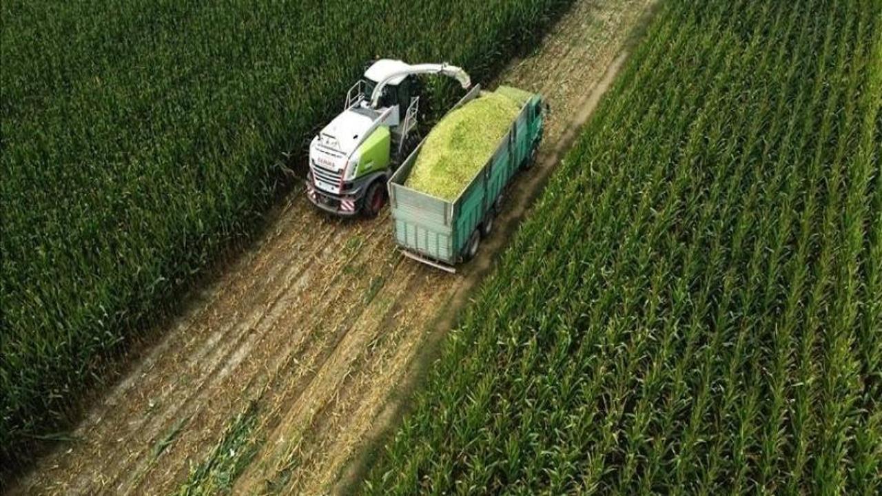 Tarım ÜFE temmuzda aylık bazda yüzde 1,74 azaldı