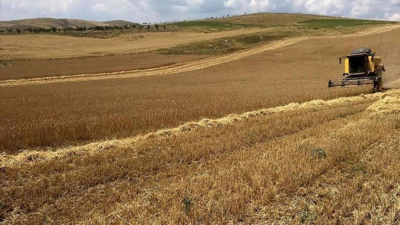 Tarımda AR-GE Destek Programı kapsamında mayısta 20. proje çağrısına çıkılacak