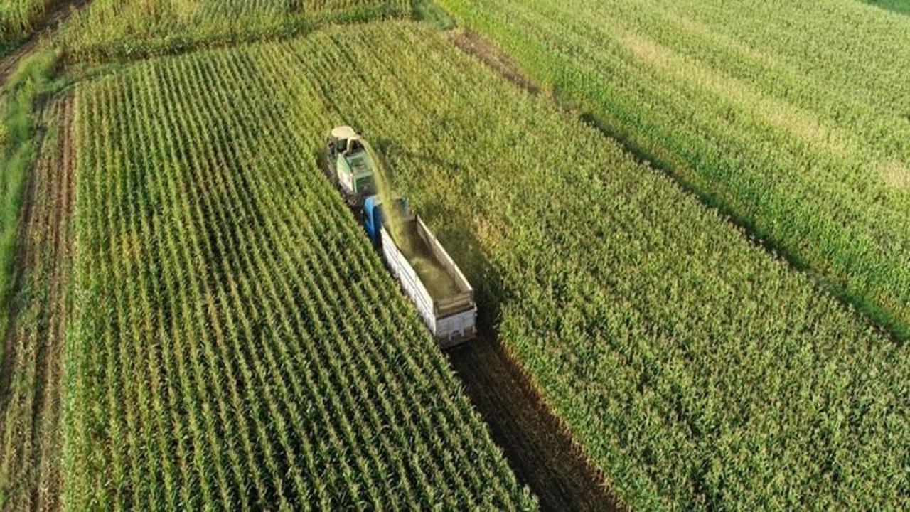 Tarımda verimliliği artıracak 