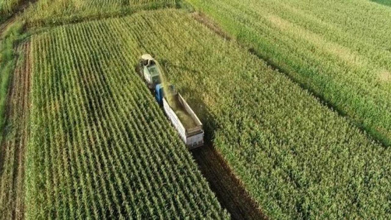 Tarımsal destekleme ödemeleri bugün hesaba yatırılacak