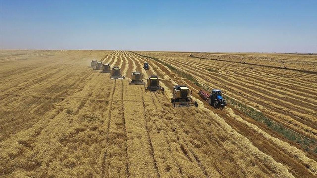Tarımsal destekleme ödemeleri bugün hesaplara aktarılıyor