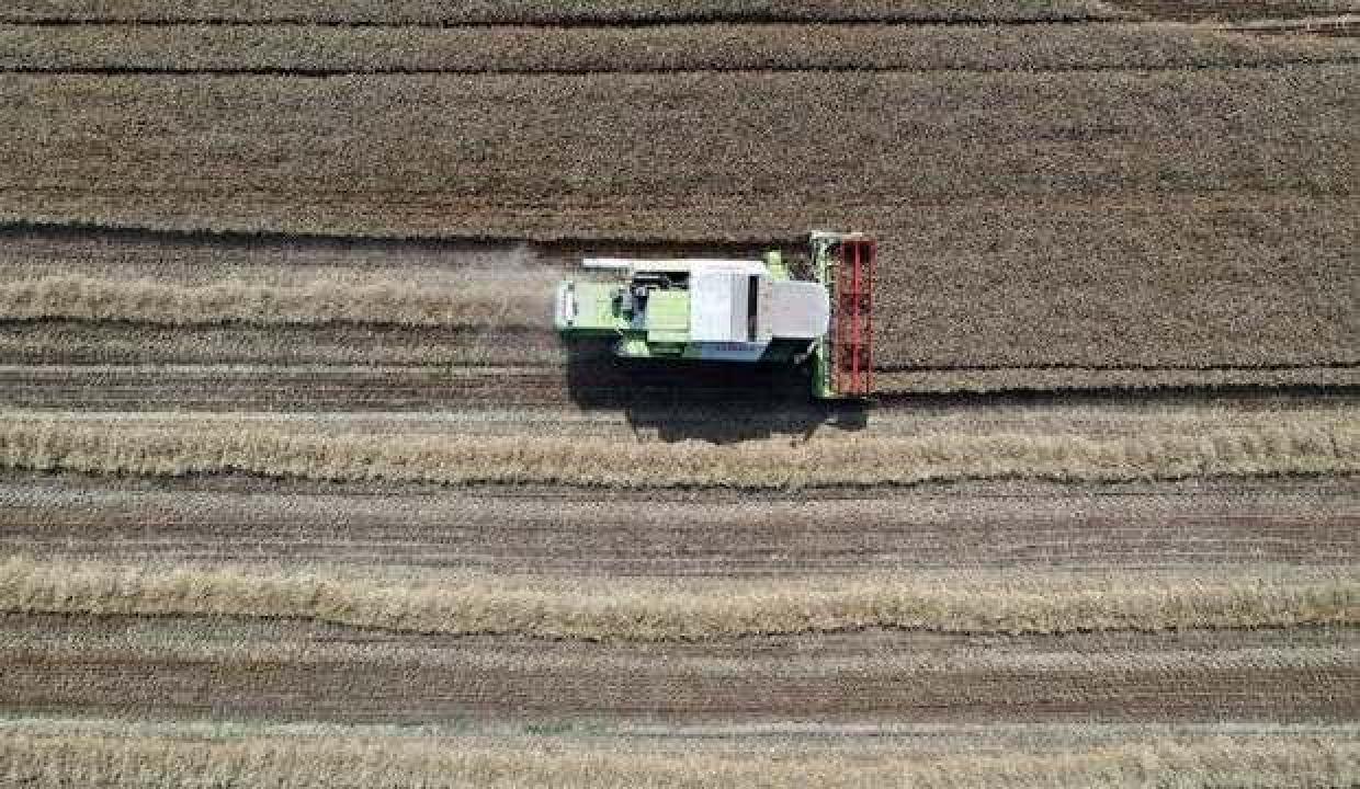 Tarımsal desteklerin detayları belli oldu