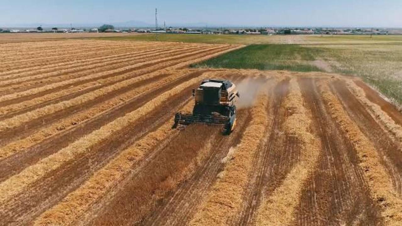 Tarımsal girdi fiyatları yıllık yüzde 33,22 arttı