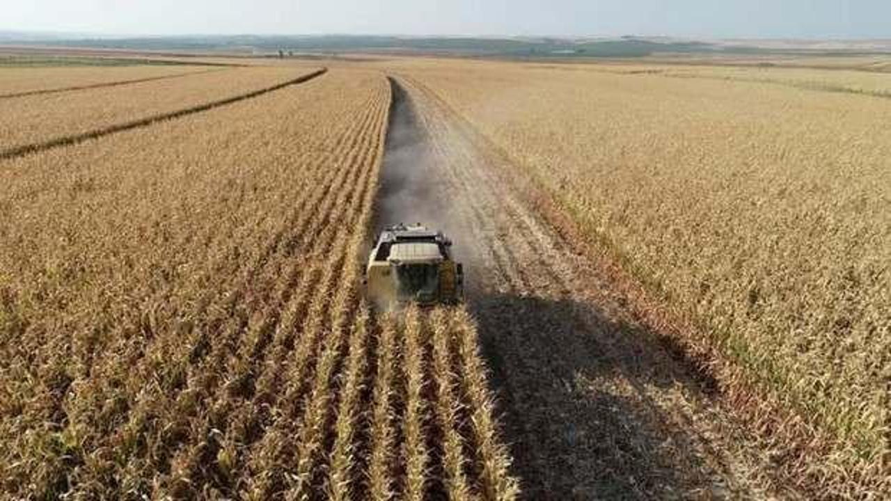 Tarımsal girdi fiyatları yükseldi
