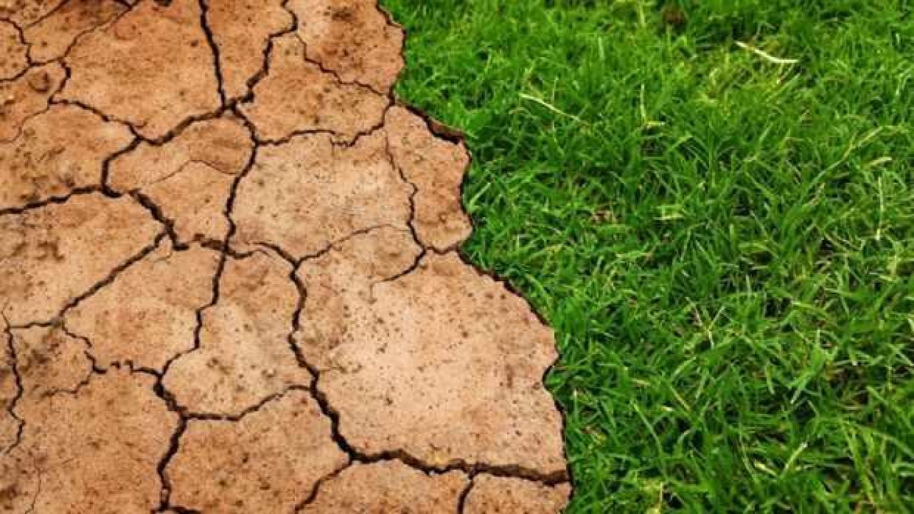 Tarımsal kuraklık nedir? Türkiye’de kuraklık…