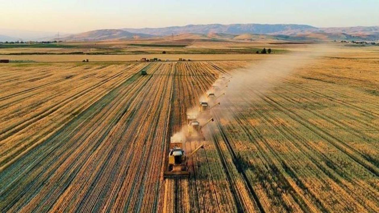 Tarlası ve arsası olanlar dikkat! Boş bırakmak yok