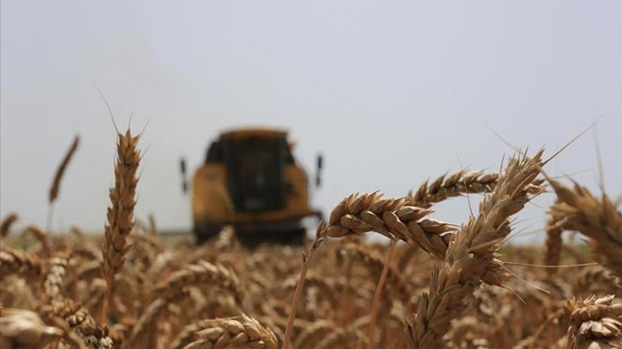 TARSİM'de 2025 yılı Bitkisel Üretim Sezonu açıldı