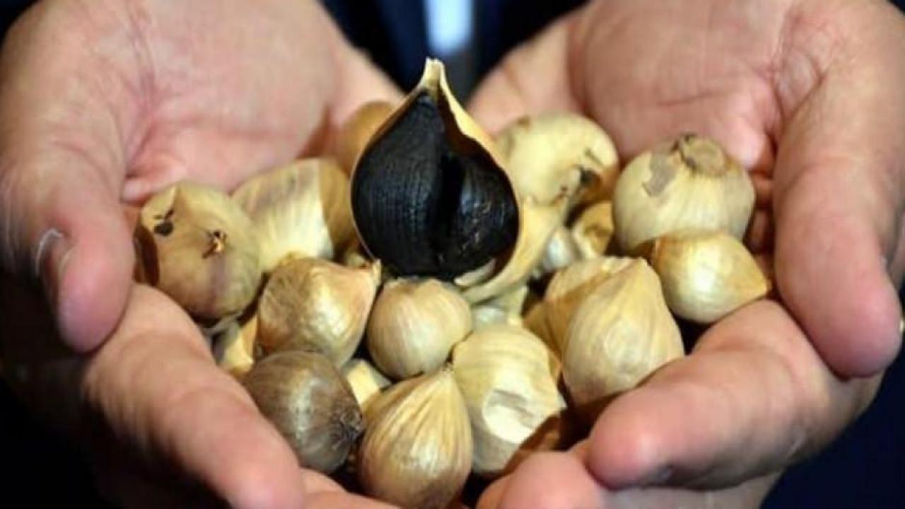 Taşköprü sarımsağını siyaha dönüştürüp 2 bin avroya satıyor