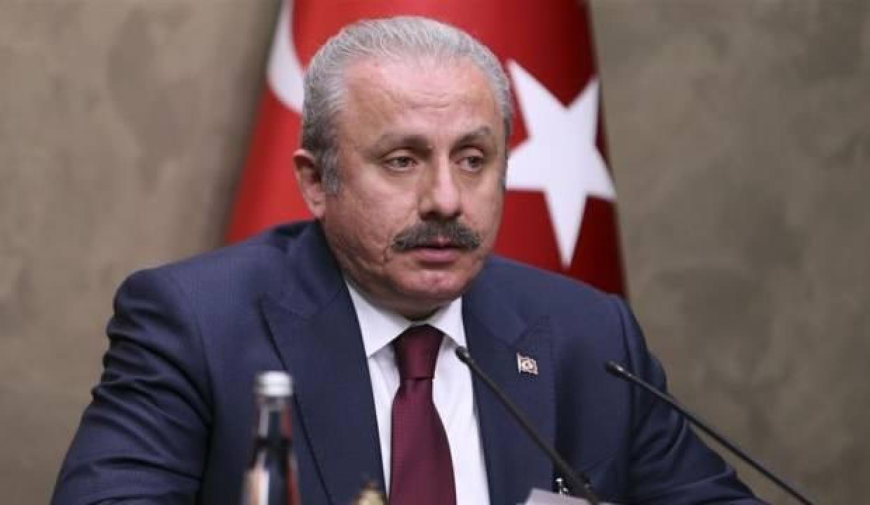 TBMM Başkanı Şentop, Rusya ve Ukrayna'nın İstanbul kararını değerlendirdi