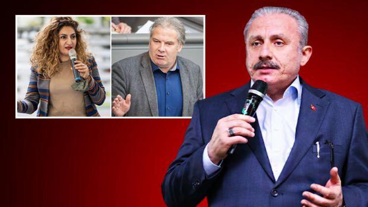 TBMM Başkanı Şentop'tan AKPM'ye Hunko ve Arslan tepkisi