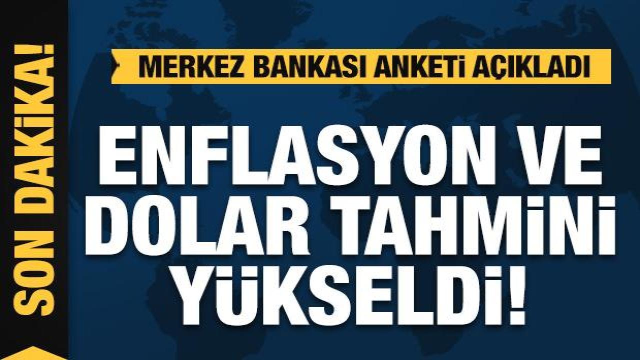 TCMB anketi açıkladı: Enflasyon ve dolar tahmini yükseldi