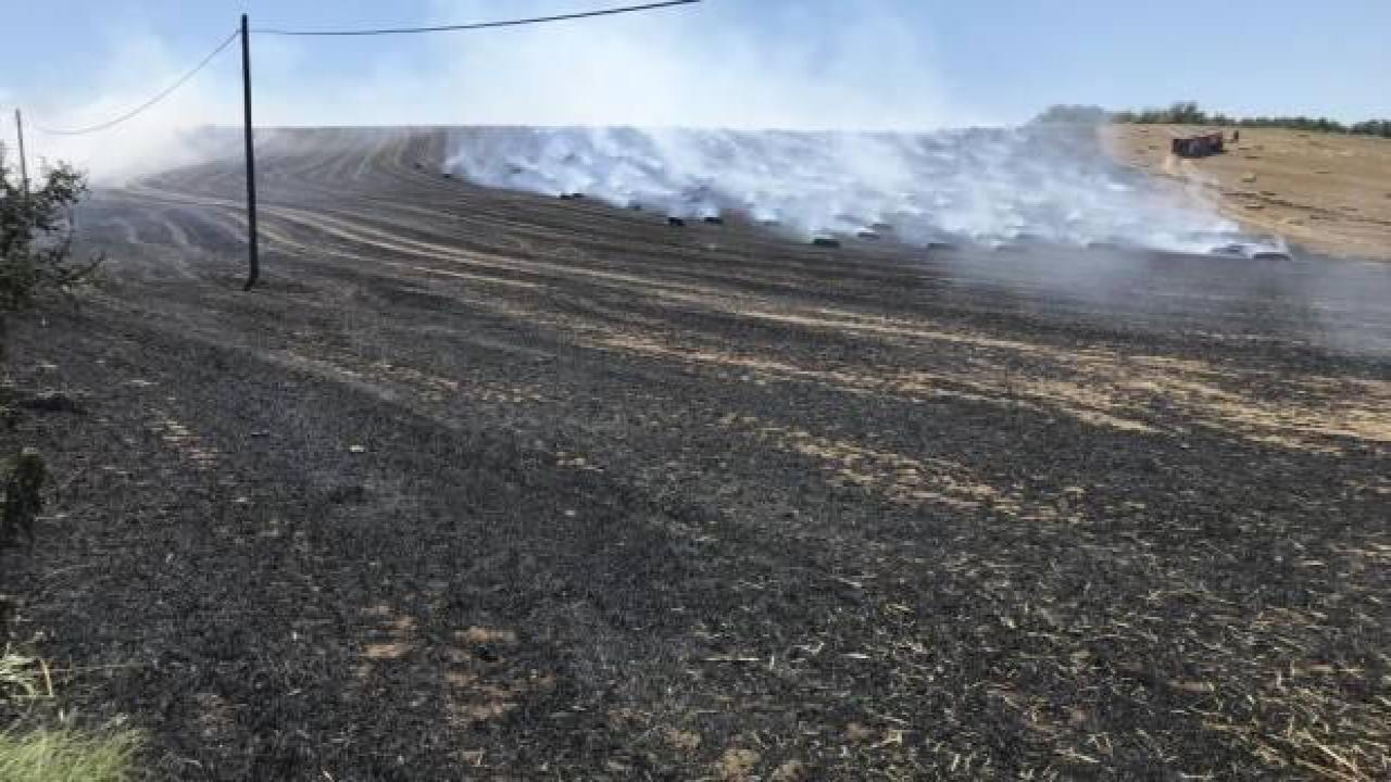 Tekirdağ'da 40 dekar tarla yandı