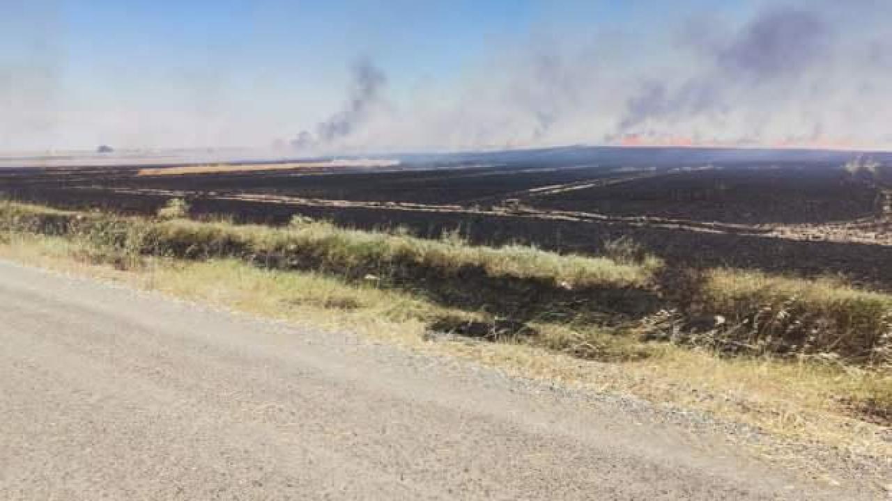 Tekirdağ’da 80 dönüm buğday tarlası yandı