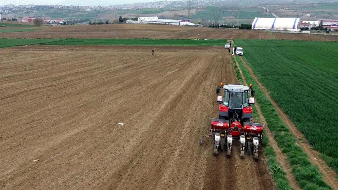 Tekirdağ'da ayçiçeği ekimi başladı: 400 bin ton rekolte bekleniyor