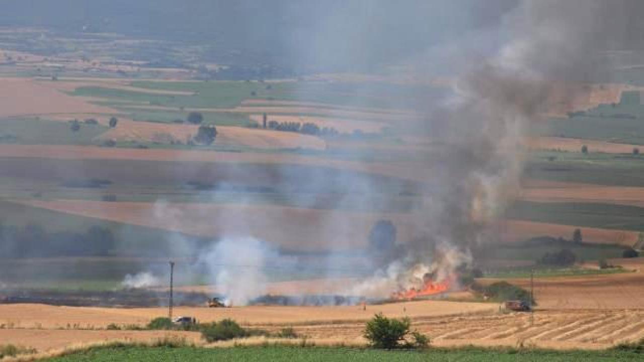 Tekirdağ'da buğday ve arpa ekili 100 dönüm tarla yandı