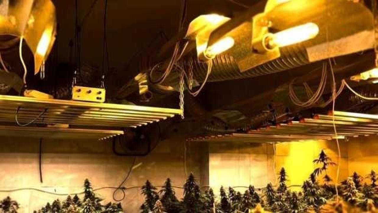 Tekstil atölyesinde uyuşturucu yetiştirmek için fabrika kurmuş
