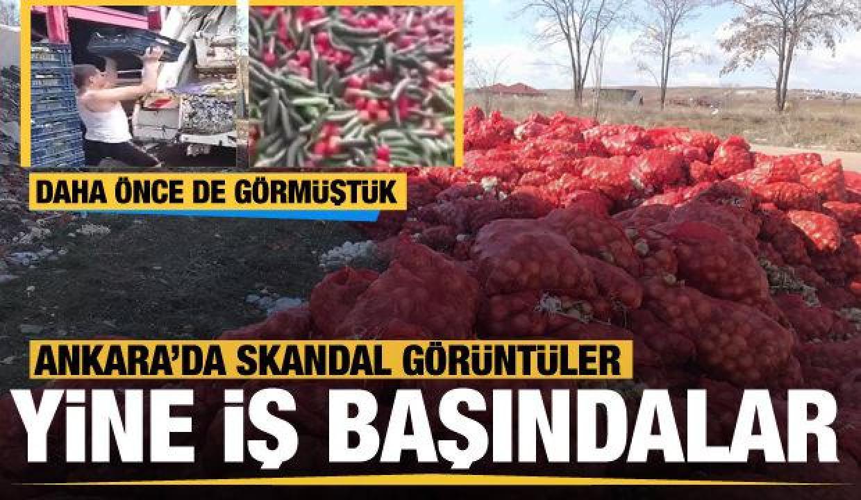 Tepki çeken olay! Ankara'da yol kenarına atılmış yüzlerce çuval soğan bulundu